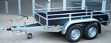 Saris F2520 Woody