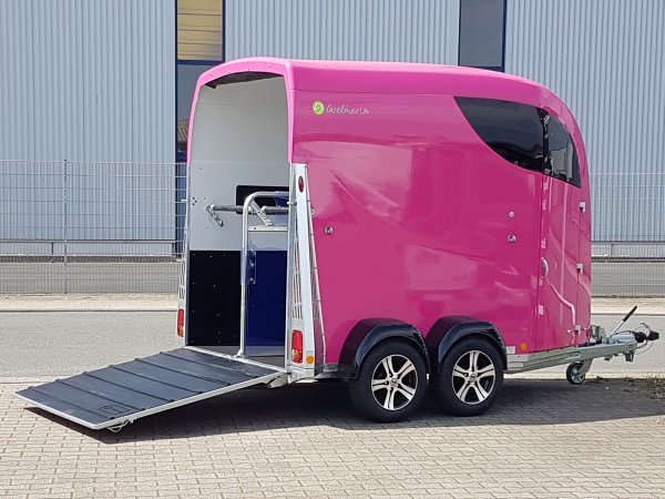 Careliner M in pink mit Panoramadach, 2. Innenleuchte LED, Bruststangenzusatzpolster, Netzrollo und Alufelgen (black/silver)