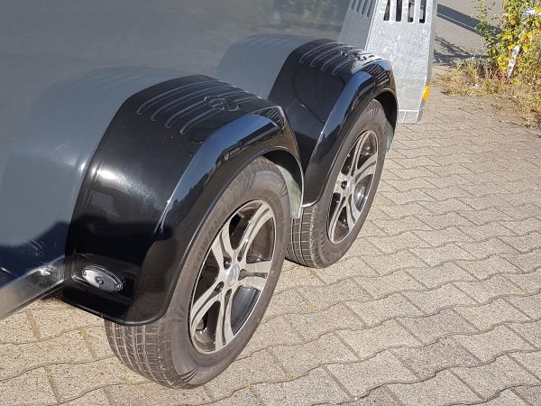 Careliner L grey/grey, Panoramadach, Sattelablagestange, 3.Bremsleuchte, 2. Innenleuchte LED, Netzlift, Bruststangenpolster und Alufelgen (black/silver)